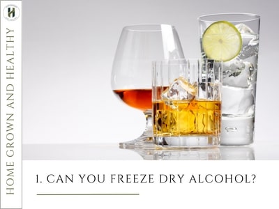 Can you freeze dry alcohol
