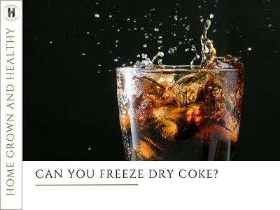 Can You Freeze Dry Coke