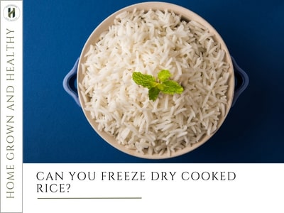 Can You freeze dry cooked rice