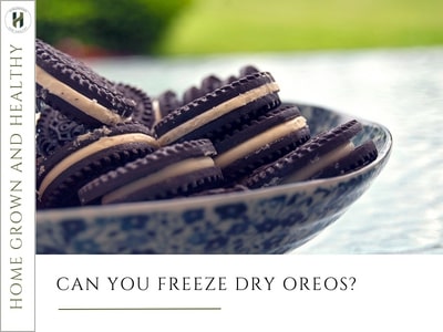 Can you freeze dry Oreos