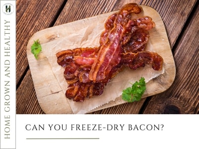 Can you freeze dry bacon