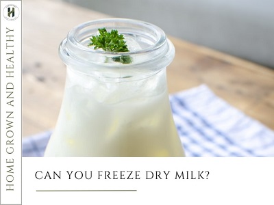 Can you freeze dry milk