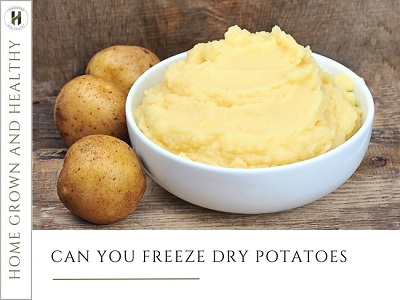 Can you freeze dry potatoes
