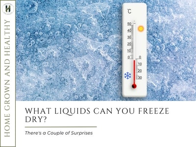 What Liquids Can You Freeze Dry