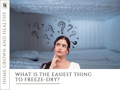 What is the easiest thing to freeze-dry