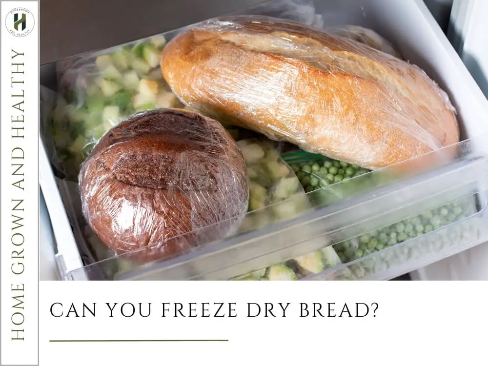 Can You Freeze Dry Bread