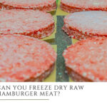 Can You Freeze Dry Raw Hamburger Meat