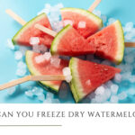 Can You Freeze Dry Watermelon